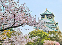 kaiyun-偷挖阿尔特塔枪手得赔7位数 球员却更想安帅执教